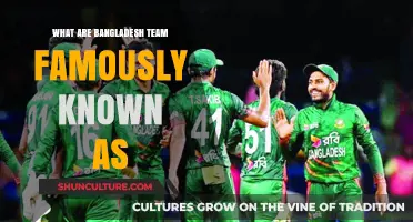 The Tigers' Roar: Bangladesh Cricket Team's Iconic Nickname Explained