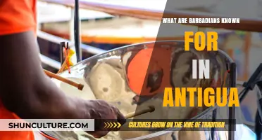 Barbadians in Antigua: Cultural Influence, Traditions, and Community Contributions