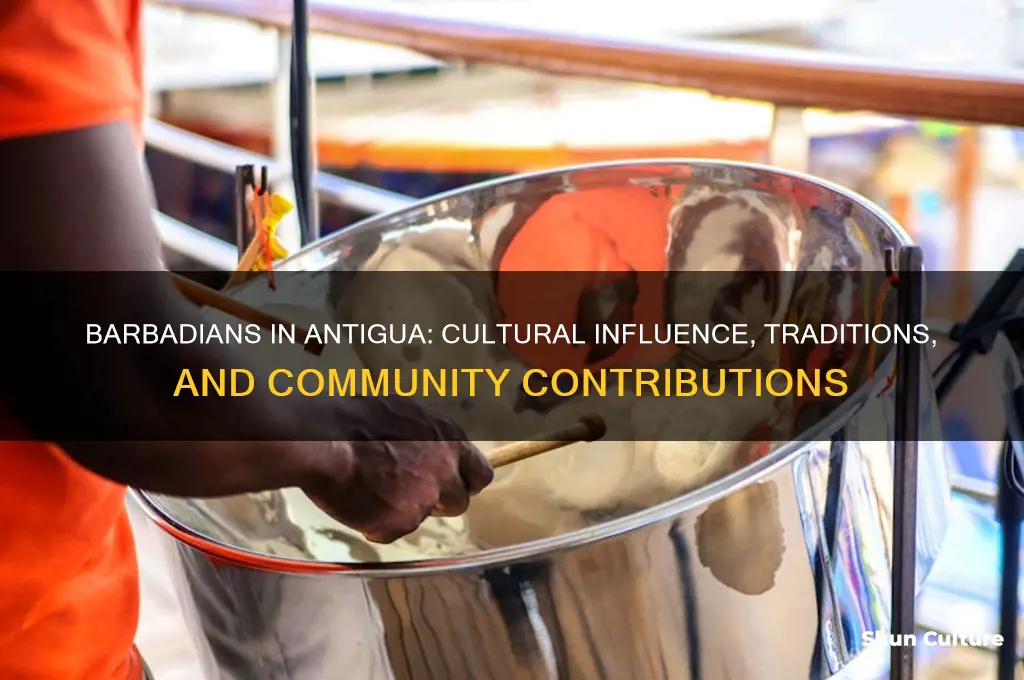 what are barbadians known for in antigua