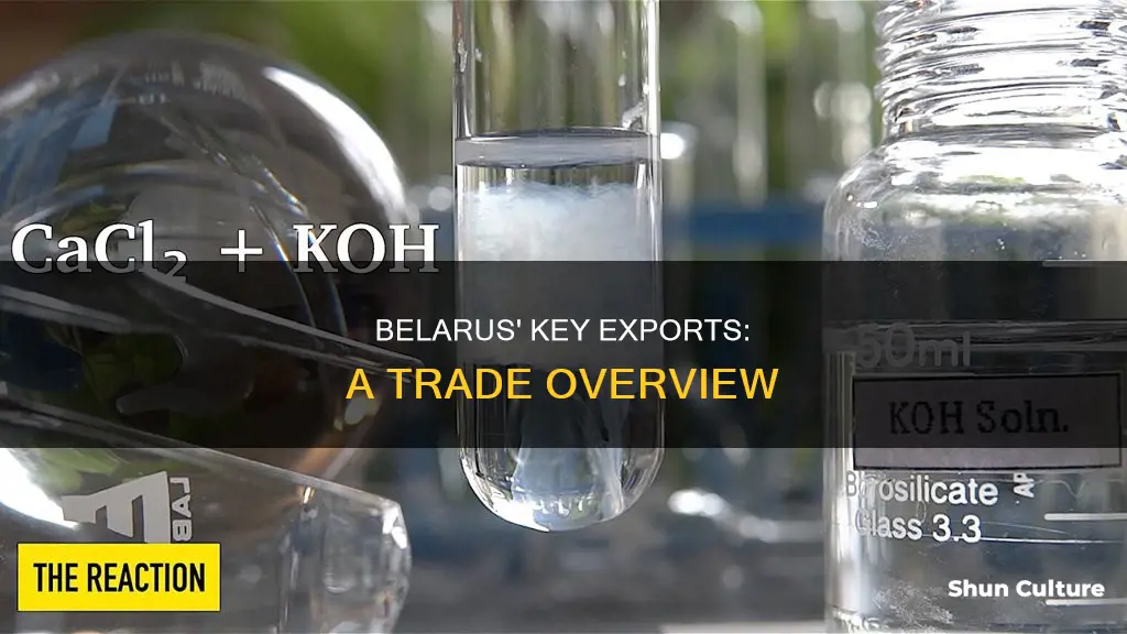 what are belarus top 2 exports