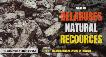 Belarus' Natural Resources: What Does the Country Offer?