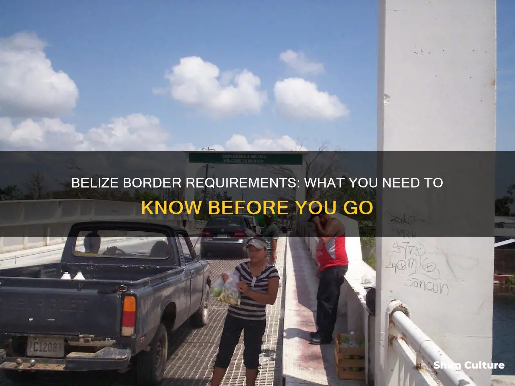 what are belize border requirements