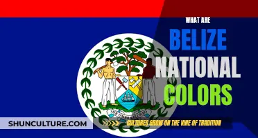 The Vibrant Identity of Belize: Unraveling the National Colors