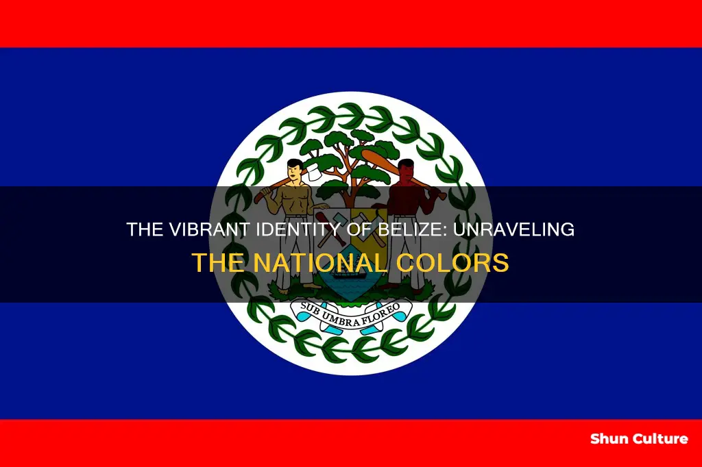 what are belize national colors