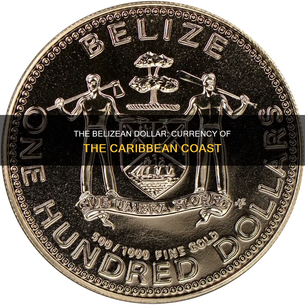 what are belizean dollars