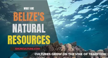 Belize's Natural Wealth: A Treasure Trove of Resources