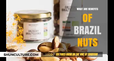 Discover the Surprising Health Benefits of Brazil Nuts Today