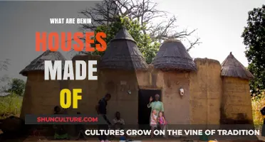 Exploring Traditional Benin Architecture: Materials and Methods