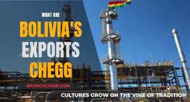 Bolivia's Exports: A Chegg Trade Exploration