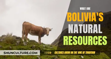 Bolivia's Natural Wealth: Exploring the Country's Rich Resources