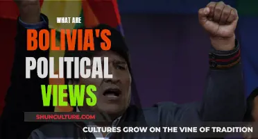 Bolivia's Political Spectrum: Exploring the Country's Views and Values