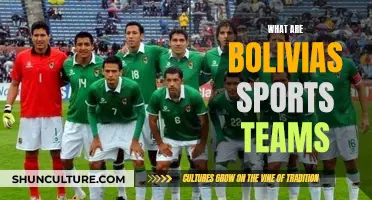 Bolivia's Top Sports Teams: A Comprehensive Overview