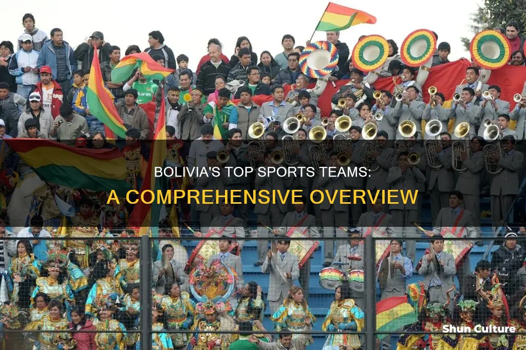 what are bolivias sports teams