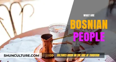 Exploring Bosnian Culture, Identity, and Heritage: Who Are Bosnian People?