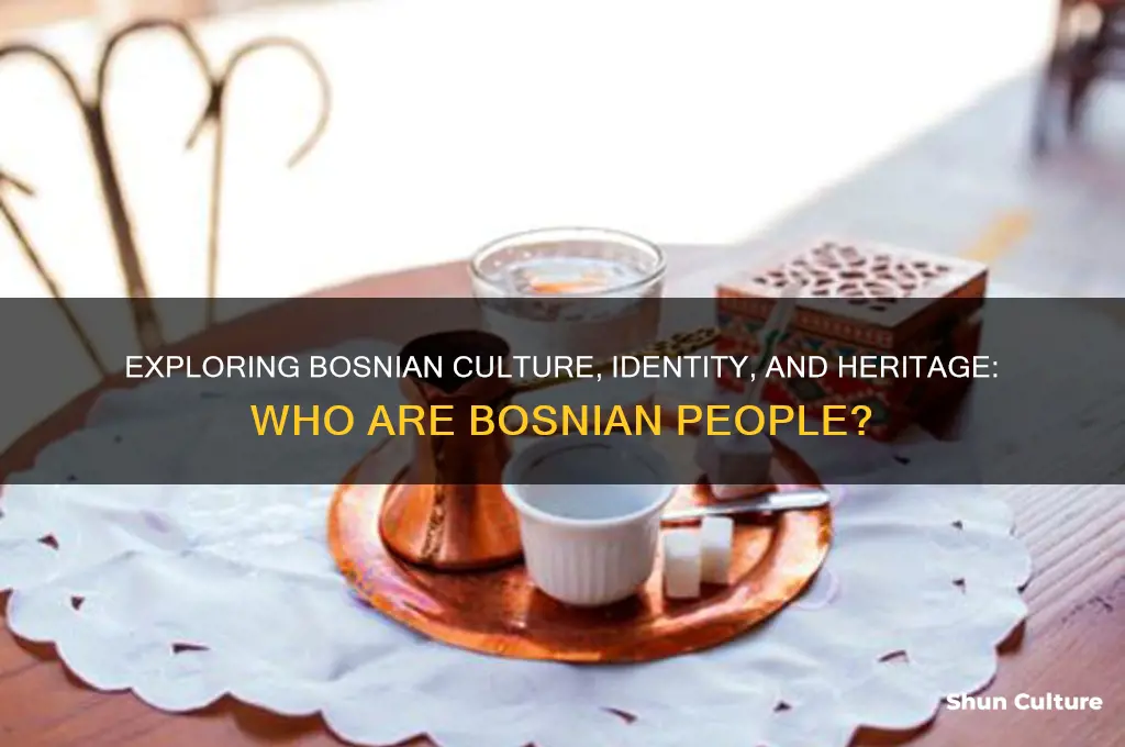 what are bosnian people