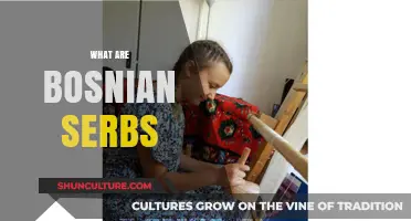 Understanding Bosnian Serbs: History, Culture, and Identity Explained
