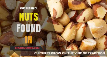 Discovering Brazil Nuts: Surprising Foods and Products They're Found In