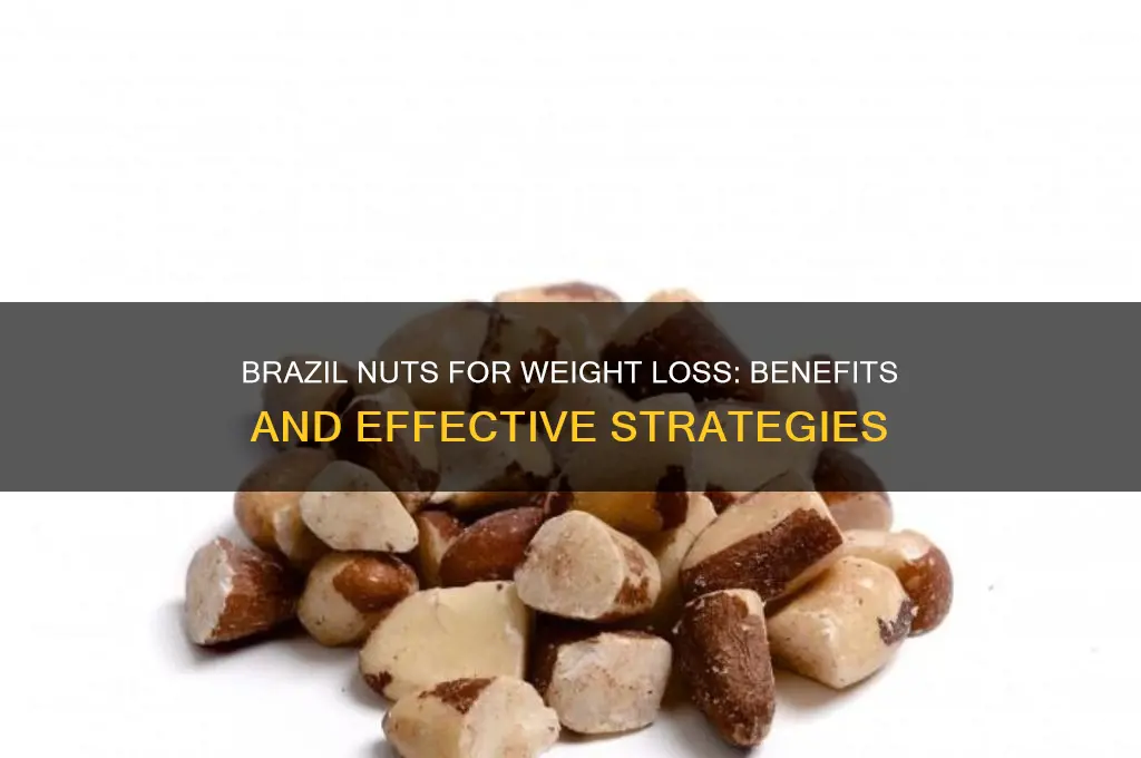 what are brazil nuts good for losing weight