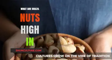 Brazil Nuts: Nutrient-Rich Superfood Benefits and Key Nutrients Explained