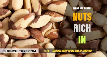 Brazil Nuts: Unlocking Nutrient-Rich Benefits for Optimal Health
