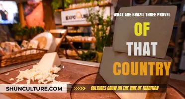 Exploring Brazil's Three Iconic Regional Cheeses: A Culinary Journey