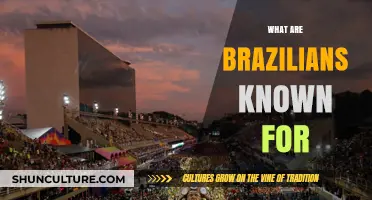 Brazilian Culture, Carnival, Soccer, and Samba: What Brazilians Are Known For