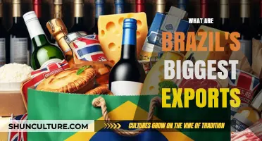 Brazil's Top Exports: Key Products Driving the Nation's Economy