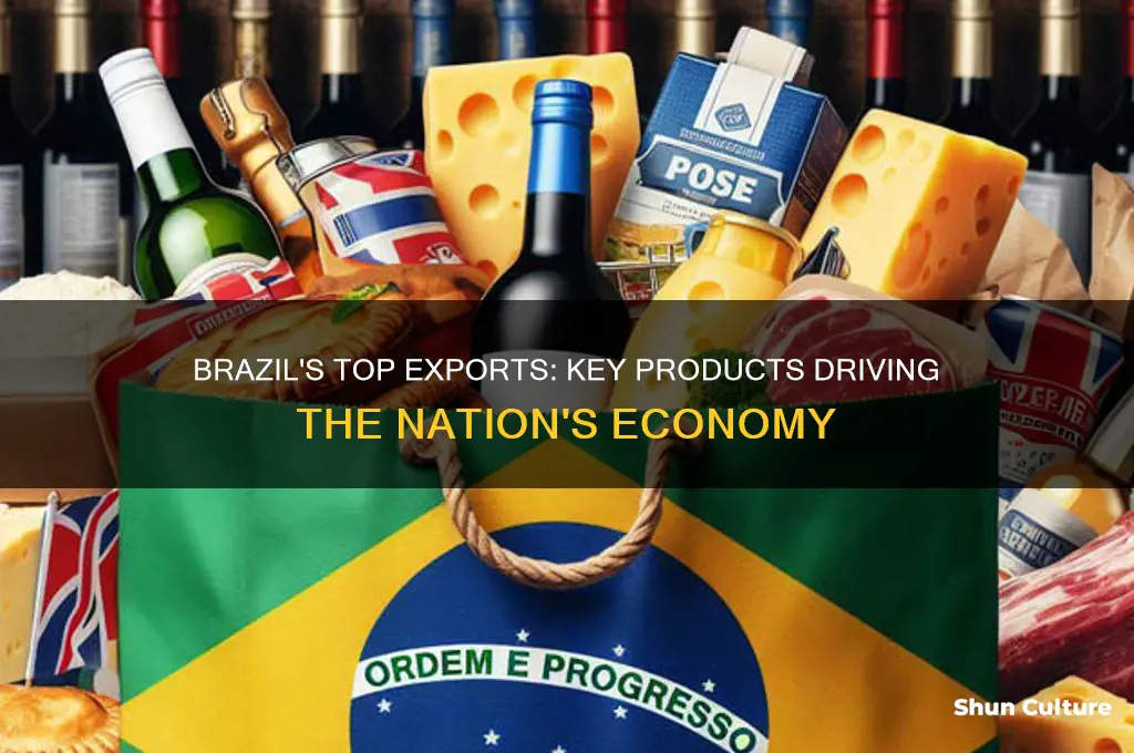 what are brazil