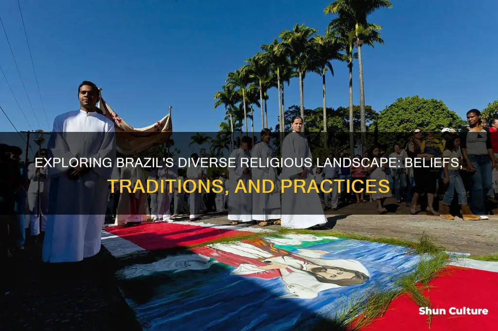 what are brazil