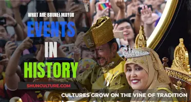 Brunei's Historic Events: A Mayor's Perspective