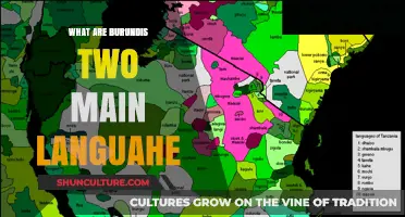 Exploring Burundi's Linguistic Landscape: A Tale of Two Tongues