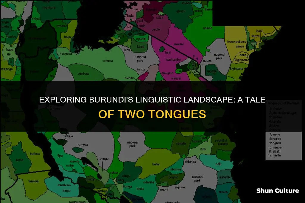what are burundis two main languahe
