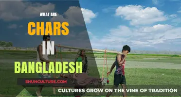 Exploring Bangladesh's Unique Chars: Formation, Challenges, and Opportunities