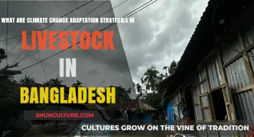 Adapting Livestock to Climate Change: Strategies for Bangladesh's Farmers