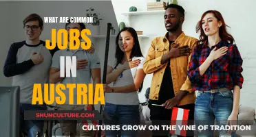 Exploring Austria's Job Market: Common Career Paths