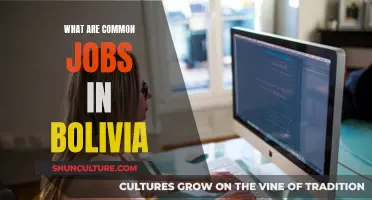 Exploring Bolivia's Job Market: Common Career Paths