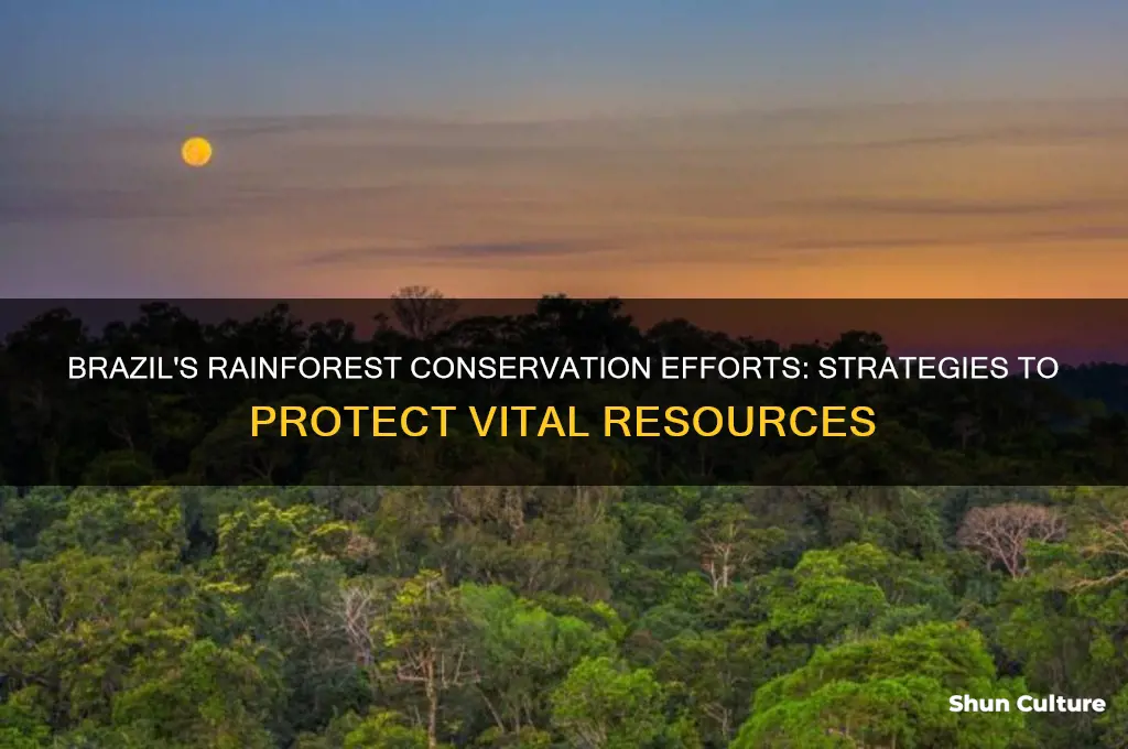 what are countries like brazil doing to protect rainforest resources