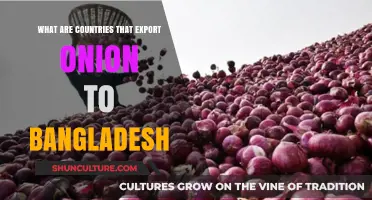 Top Onion Exporters to Bangladesh: Key Countries and Trade Insights