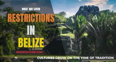 Belize's COVID-19 Restrictions: What You Need to Know Before You Go