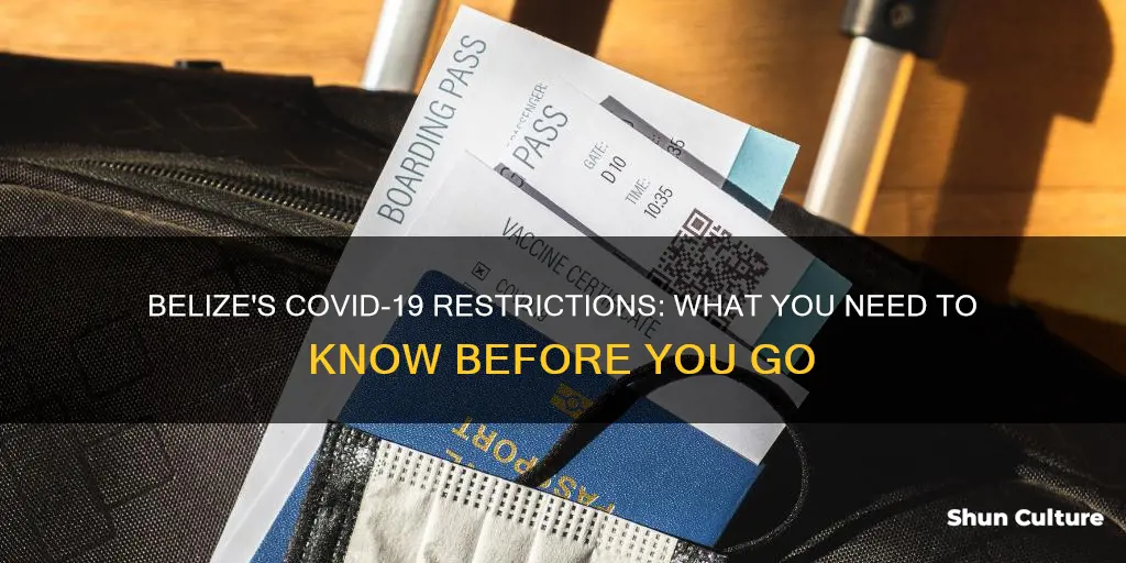 what are covid restrictions in belize