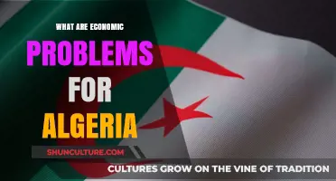 Algeria's Economic Challenges: Unraveling the Complexities and Seeking Solutions