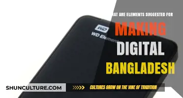 Key Elements to Build a Digital Bangladesh: Strategies and Innovations