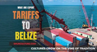 Understanding Export Tariffs to Belize: A Guide for Businesses