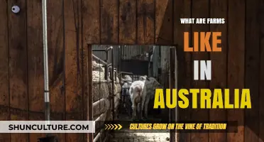 Exploring Australia's Unique Farming Landscape
