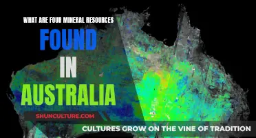 Exploring Australia's Mineral Wealth: Four Key Resources