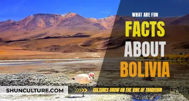 Exploring Bolivia: Unique Facts and Surprises