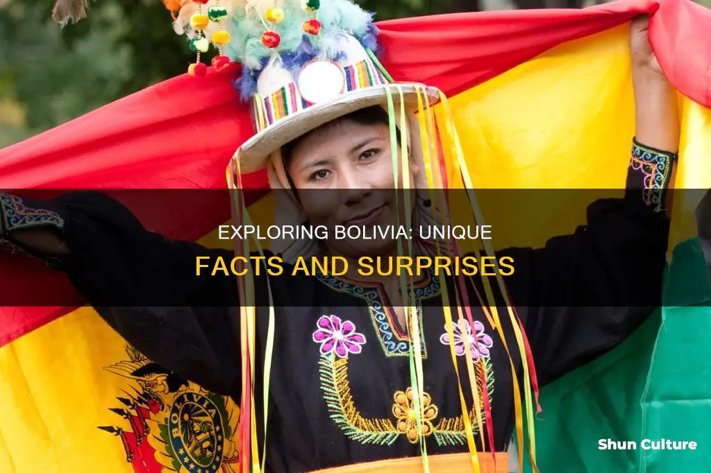 what are fun facts about bolivia