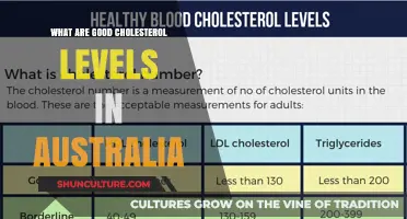 Cholesterol Levels: Australia's Healthy Range Explained