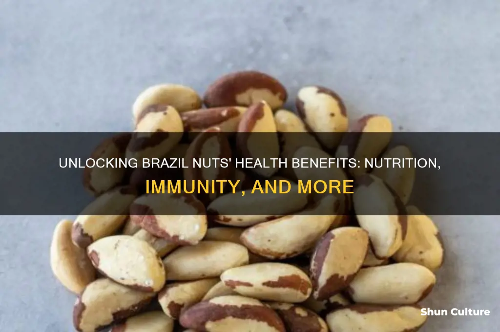 what are health benefits of brazil nuts