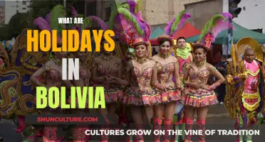 Exploring Bolivia: Festivals and Holidays Unveiled